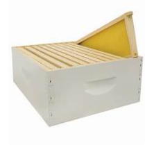 Medium Box Painted with 10 Assembled Frames