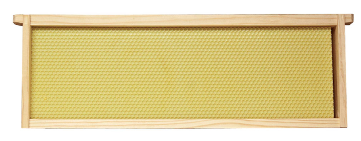 Frames with Double Waxed Foundation