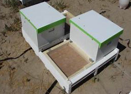 4- Way Bee Pallet
