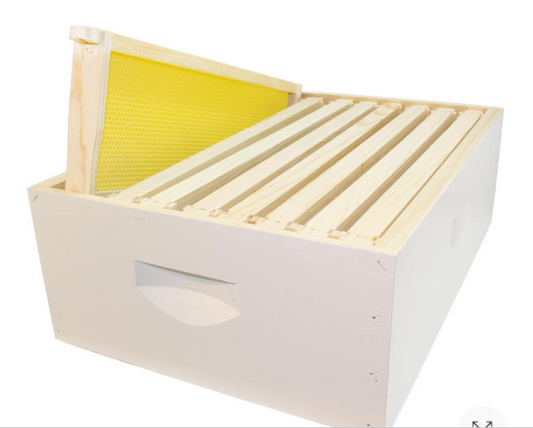 Deep Box Painted with 8 Assembled Frames