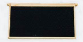 Frames with Double Waxed Foundation