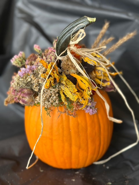 Fall Pumpkin Decorating Workshop at Bee Bum Korner Pumpkin Patch September 27th